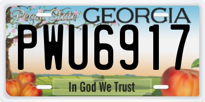 GA license plate PWU6917