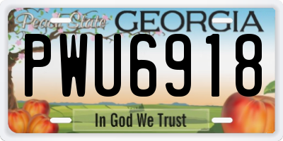 GA license plate PWU6918