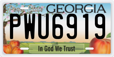 GA license plate PWU6919