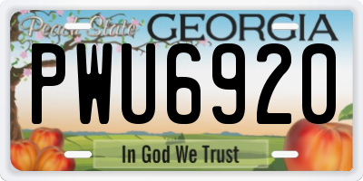 GA license plate PWU6920
