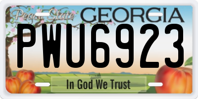 GA license plate PWU6923