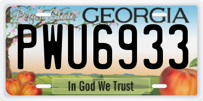 GA license plate PWU6933
