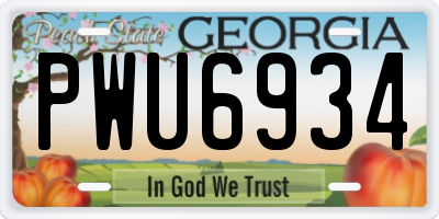 GA license plate PWU6934
