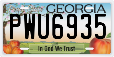 GA license plate PWU6935