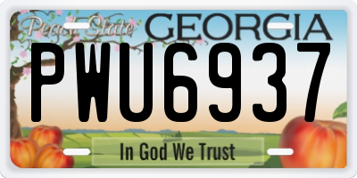 GA license plate PWU6937