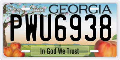 GA license plate PWU6938