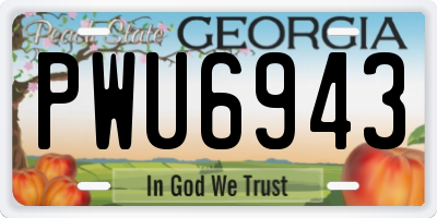 GA license plate PWU6943