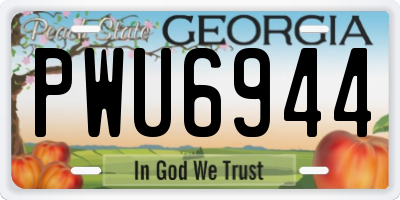 GA license plate PWU6944