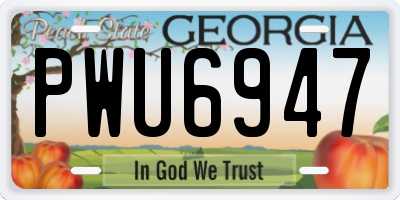 GA license plate PWU6947