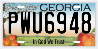 GA license plate PWU6948