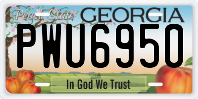 GA license plate PWU6950