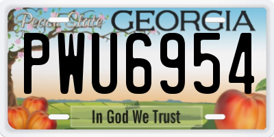 GA license plate PWU6954