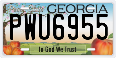 GA license plate PWU6955