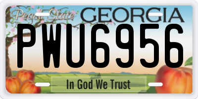 GA license plate PWU6956