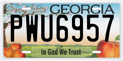 GA license plate PWU6957