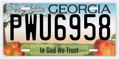 GA license plate PWU6958