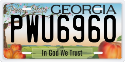 GA license plate PWU6960