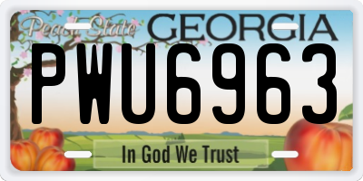 GA license plate PWU6963