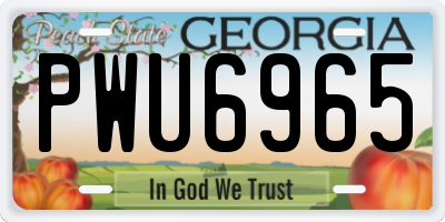 GA license plate PWU6965