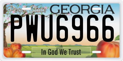 GA license plate PWU6966
