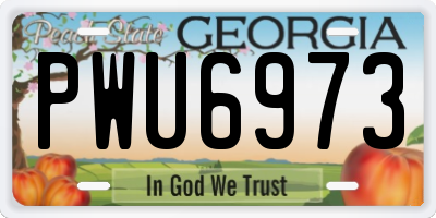 GA license plate PWU6973
