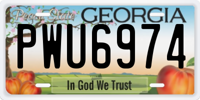 GA license plate PWU6974