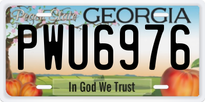 GA license plate PWU6976