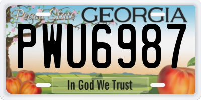 GA license plate PWU6987