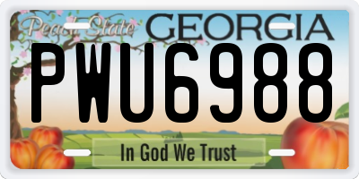 GA license plate PWU6988