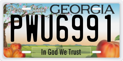 GA license plate PWU6991