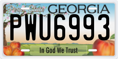 GA license plate PWU6993