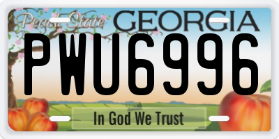 GA license plate PWU6996
