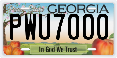 GA license plate PWU7000