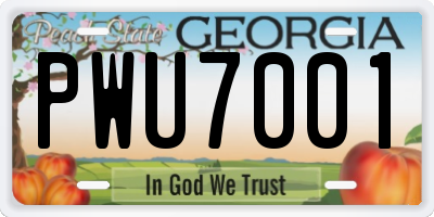 GA license plate PWU7001