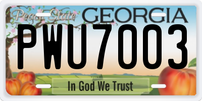 GA license plate PWU7003