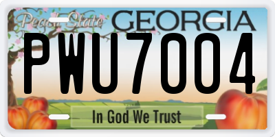 GA license plate PWU7004