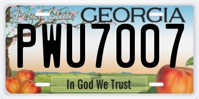 GA license plate PWU7007
