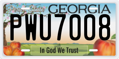 GA license plate PWU7008