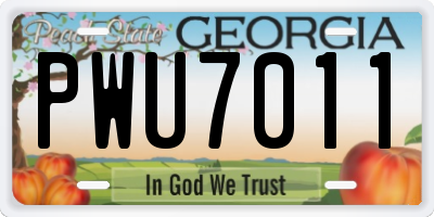 GA license plate PWU7011