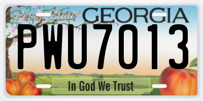 GA license plate PWU7013