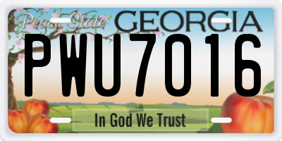 GA license plate PWU7016