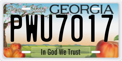 GA license plate PWU7017