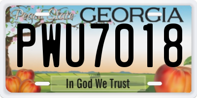 GA license plate PWU7018