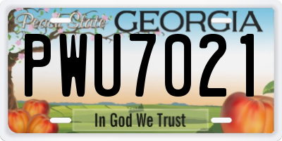 GA license plate PWU7021