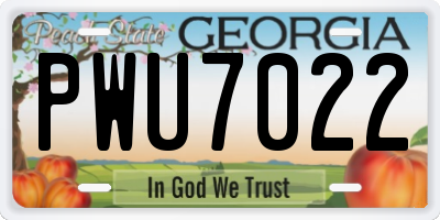 GA license plate PWU7022