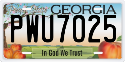GA license plate PWU7025