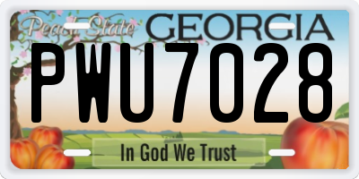 GA license plate PWU7028