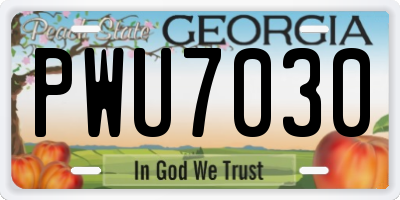 GA license plate PWU7030