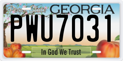 GA license plate PWU7031