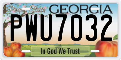 GA license plate PWU7032